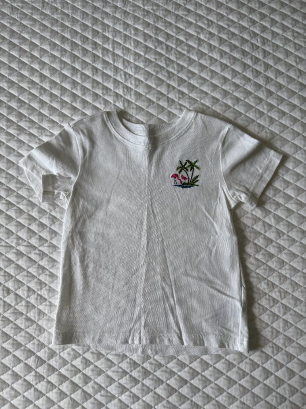 Bundle of Boys' 2 & 3T Clothes: Janie & Jack, Ralph Lauren, Gap, etc - Picture 7 of 9